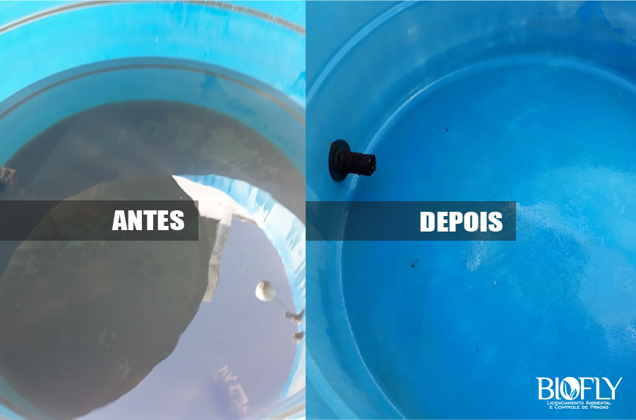 Limpeza de caixa d'água - Como Fazer Higienização 2 Limpeza de Caixa D'Agua