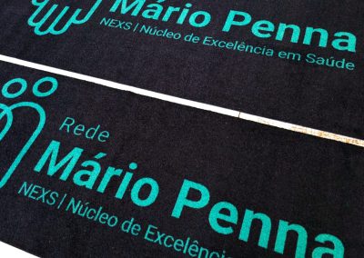 Rede Mário Penna