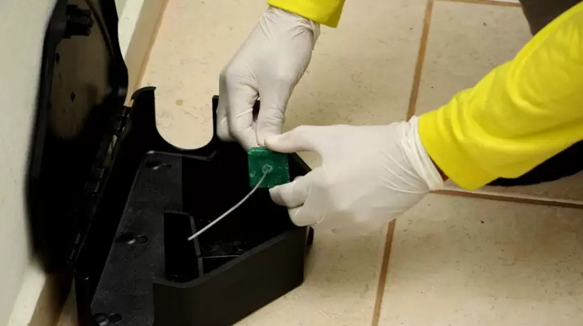 Desratizacao em Brasilia DF 2