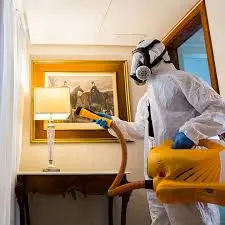 Sanitização-em-Brasilia-2